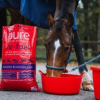 24-1659-Pure-Feed-Feeding-day-2-74-600x400.jpg