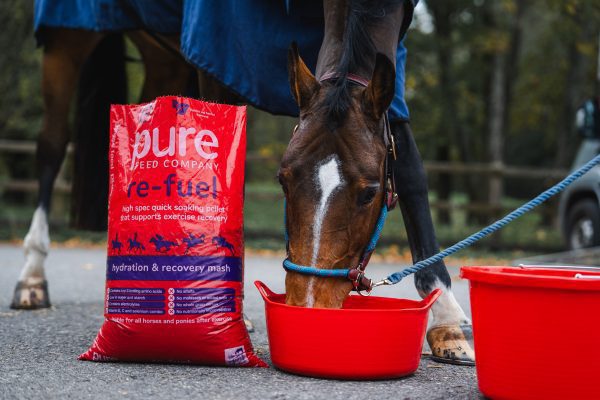 24-1659-Pure-Feed-Feeding-day-2-74-600x400.jpg