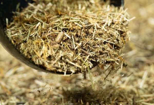 24-1659-Pure-Feed-Raw-Ingreidents-11-600x408.jpg