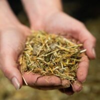 24-1659-Pure-Feed-Raw-Ingreidents-16-600x400