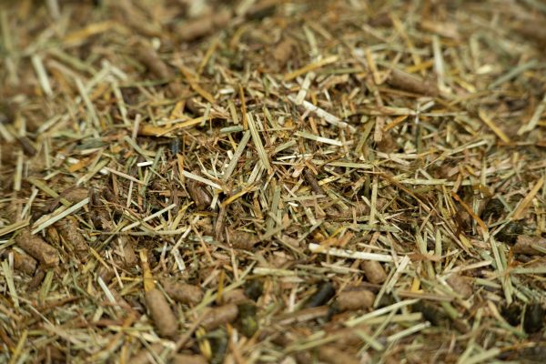 24-1659-Pure-Feed-Raw-Ingreidents-5-600x400