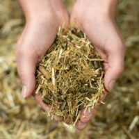 24-1659-Pure-Feed-Raw-Ingreidents-60-600x400