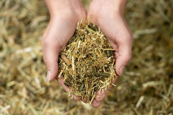 24-1659-Pure-Feed-Raw-Ingreidents-60-600x400
