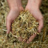 24-1659-Pure-Feed-Raw-Ingreidents-74-600x400.jpg