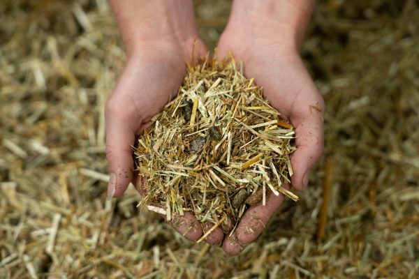 24-1659-Pure-Feed-Raw-Ingreidents-74-600x400.jpg