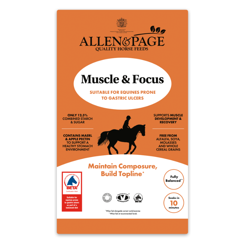 Allen & Page Muscle & Focus
