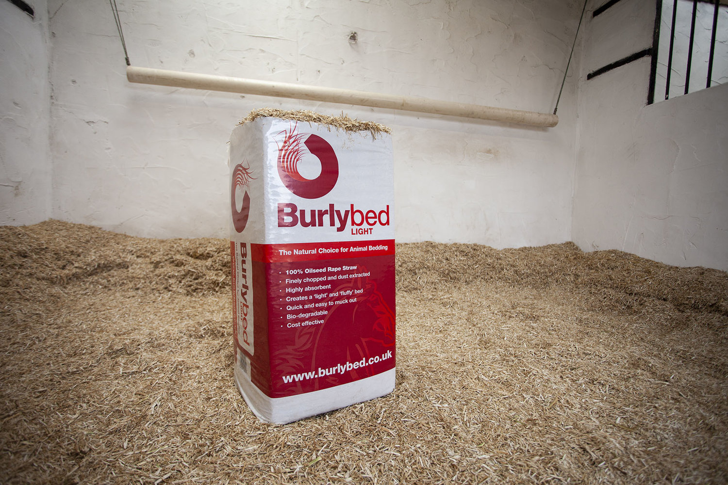 Burlybed Light2
