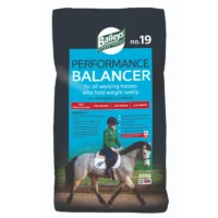 No19 Performance Balancer