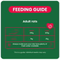Excel Rat Nuggets2