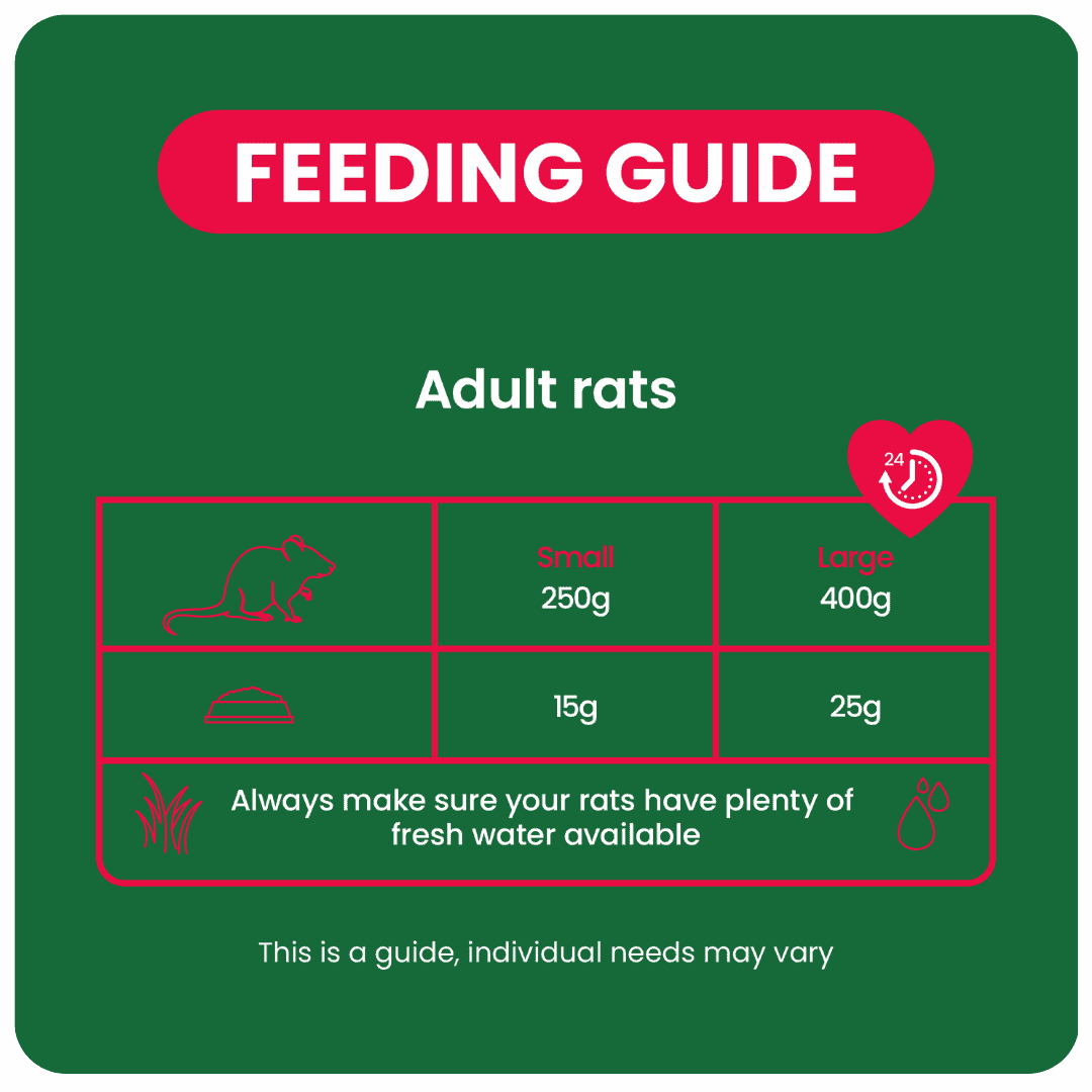 Excel Rat Nuggets2