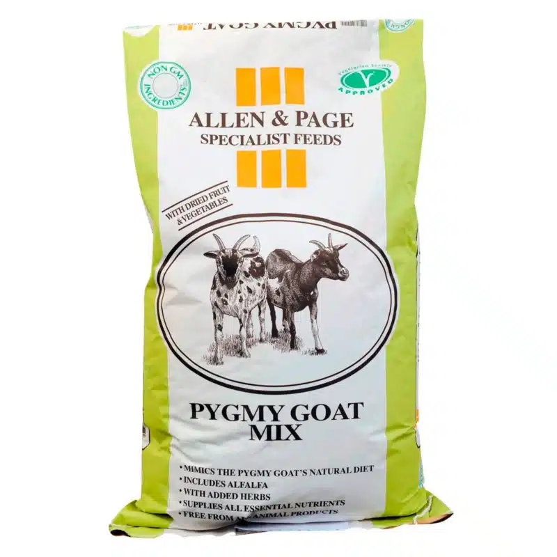 Allen & Page Pygmy Goat Mix
