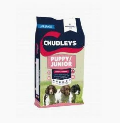 Chudleys Puppy/Junior