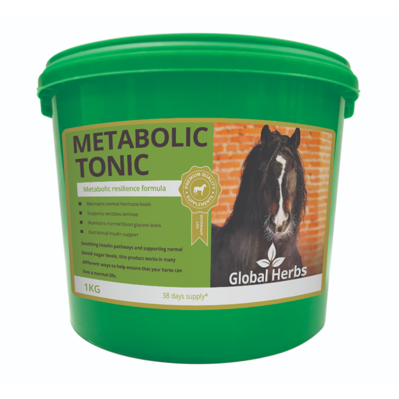 Global Herbs Metabolic Tonic