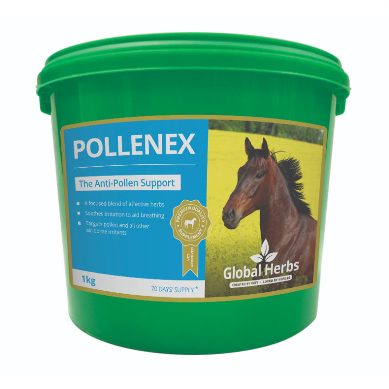 Global Herbs Pollenex