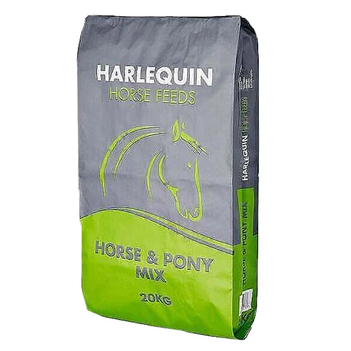 Harlequin Horse and Pony Mix