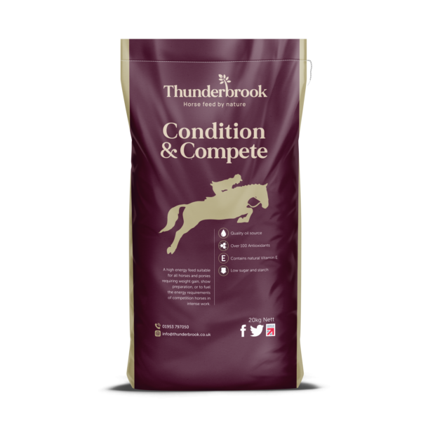 Thunderbrook Condition and Compete