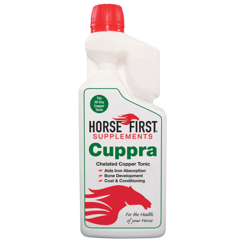Horse First Cuppra