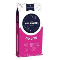 Dodsdon and Horrell Go Lite Balancer