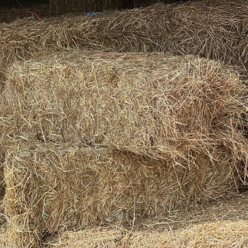 Small Bale Hay