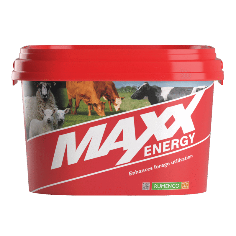 Maxx Energy