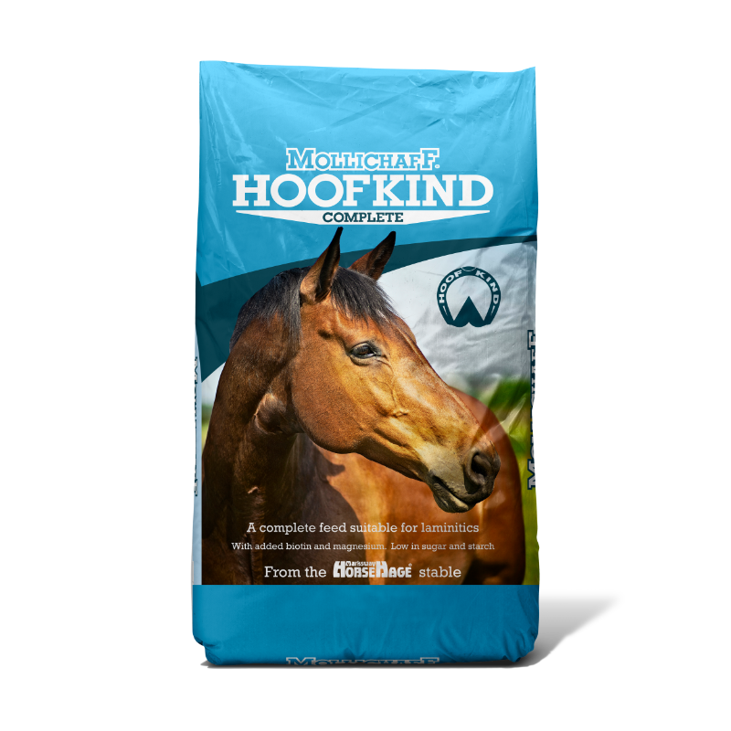 Mollichaff Hoofkind
