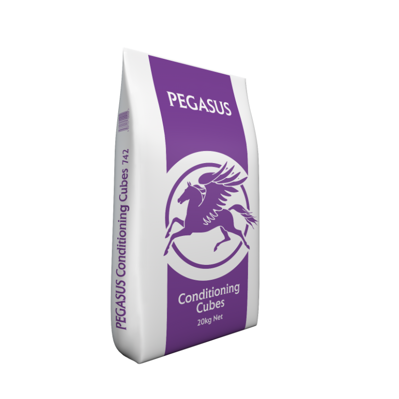 Pegasus Conditioning Cubes
