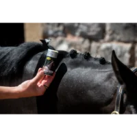 Plaiting (6)