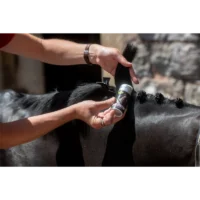 Plaiting (8)