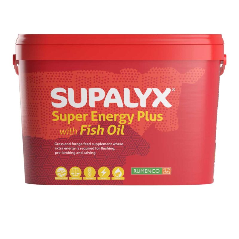 Supalyx Super Energy plus Fish Oil