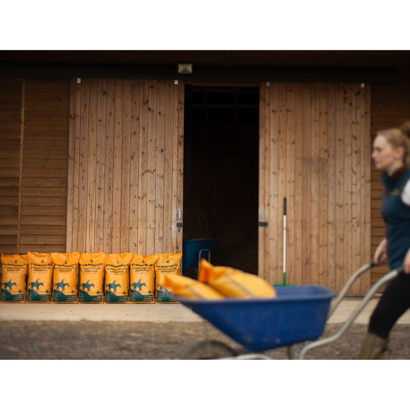 Strawmax lined up in front of barn door