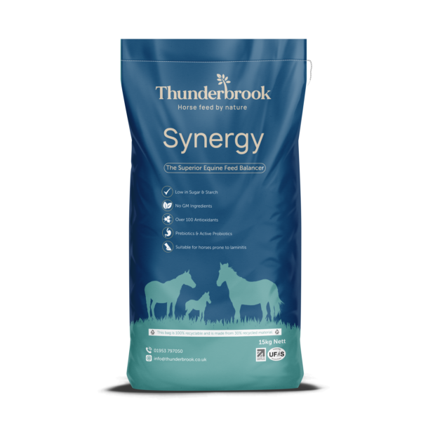 Thunderbrook Synergy