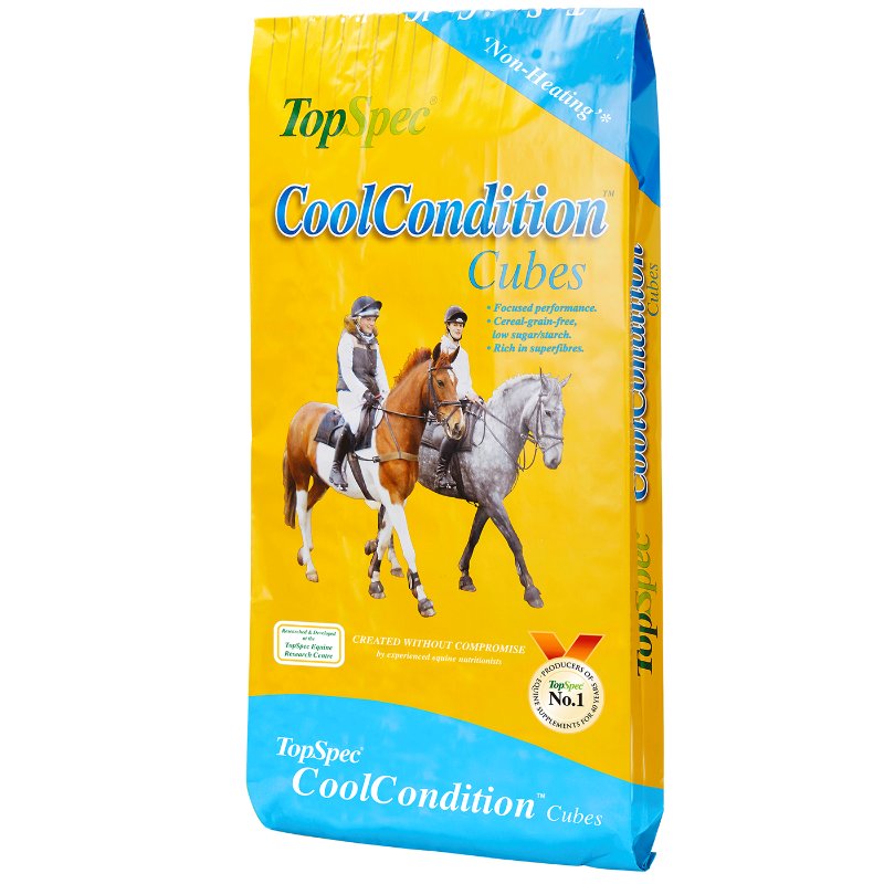 Topspec Cool Condition Cubes