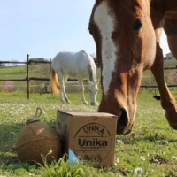 Equine Products UK Unika Ball