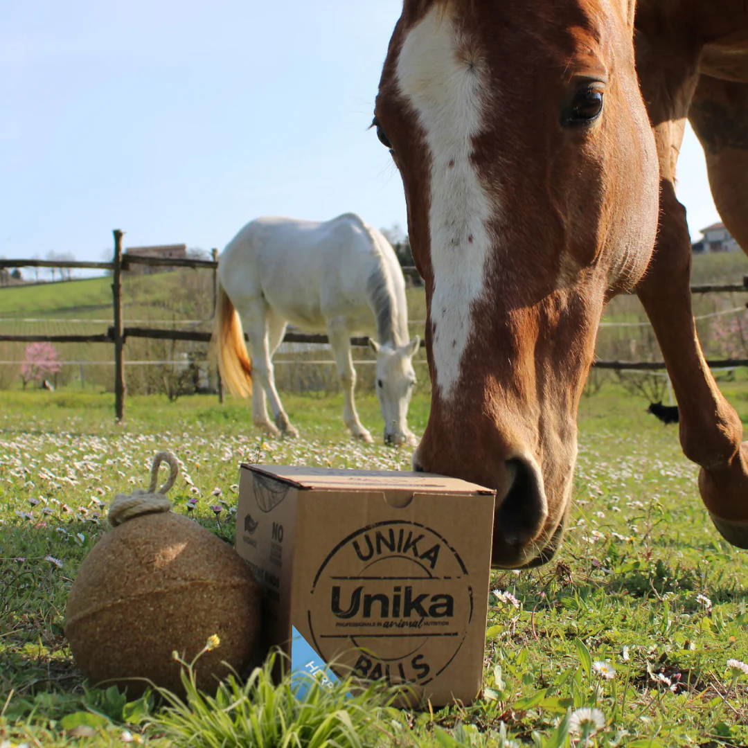 Equine Products UK Unika Ball
