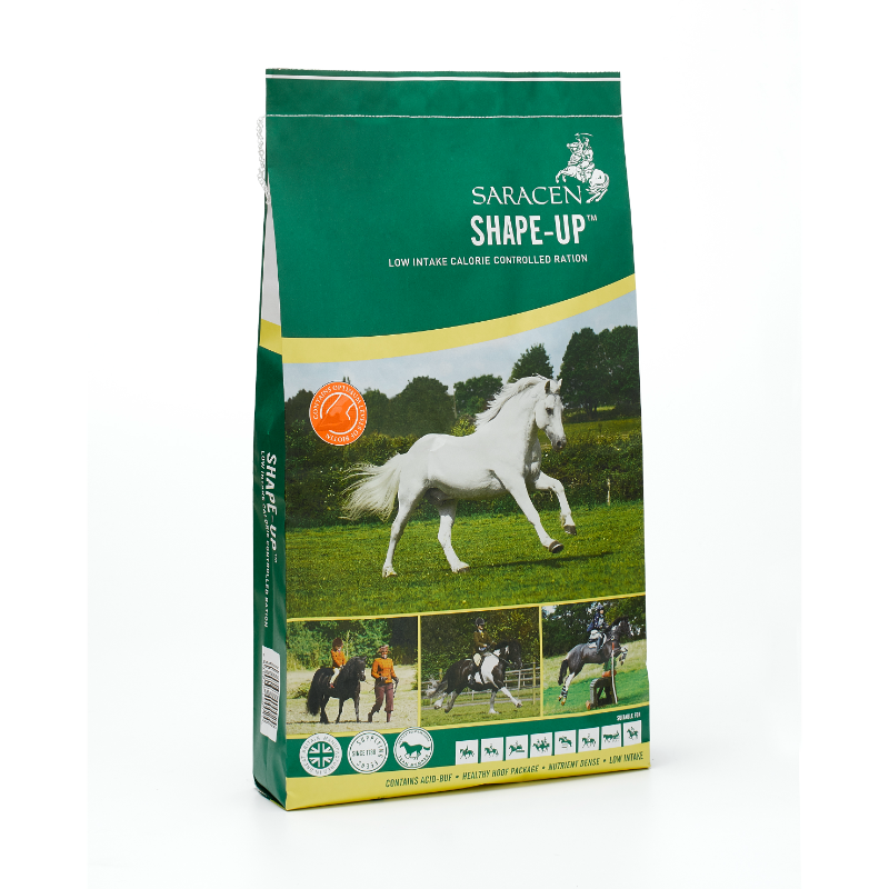 Saracen Shape Up