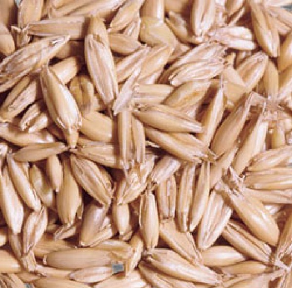 Henry Bell Bruised Oats