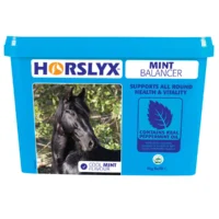 Horslyx Mint2