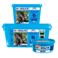 Horslyx Mint