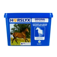 Horslyx Original2