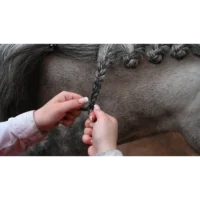 plaiting with thread 4