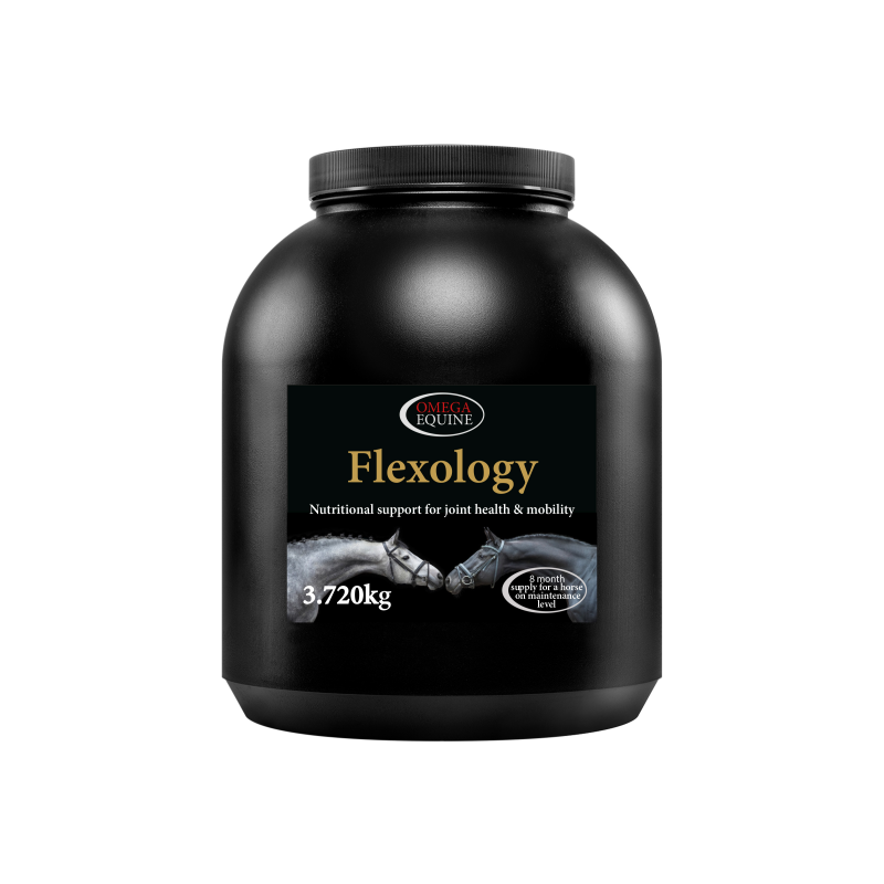 Omega Equine Flexology