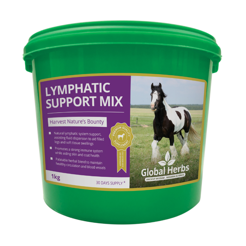 Global Herbs Lymphatic Support Mix