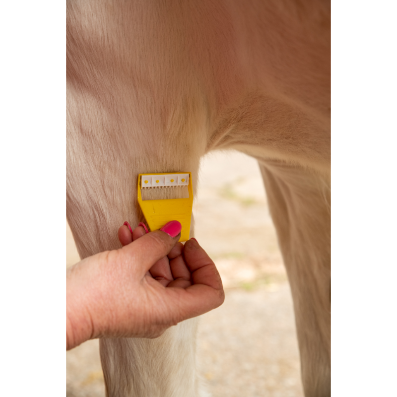 Equi Shave (23)