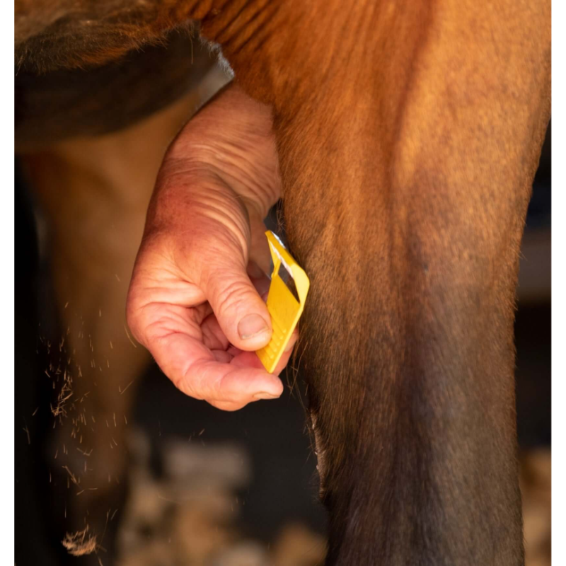 EquiShave