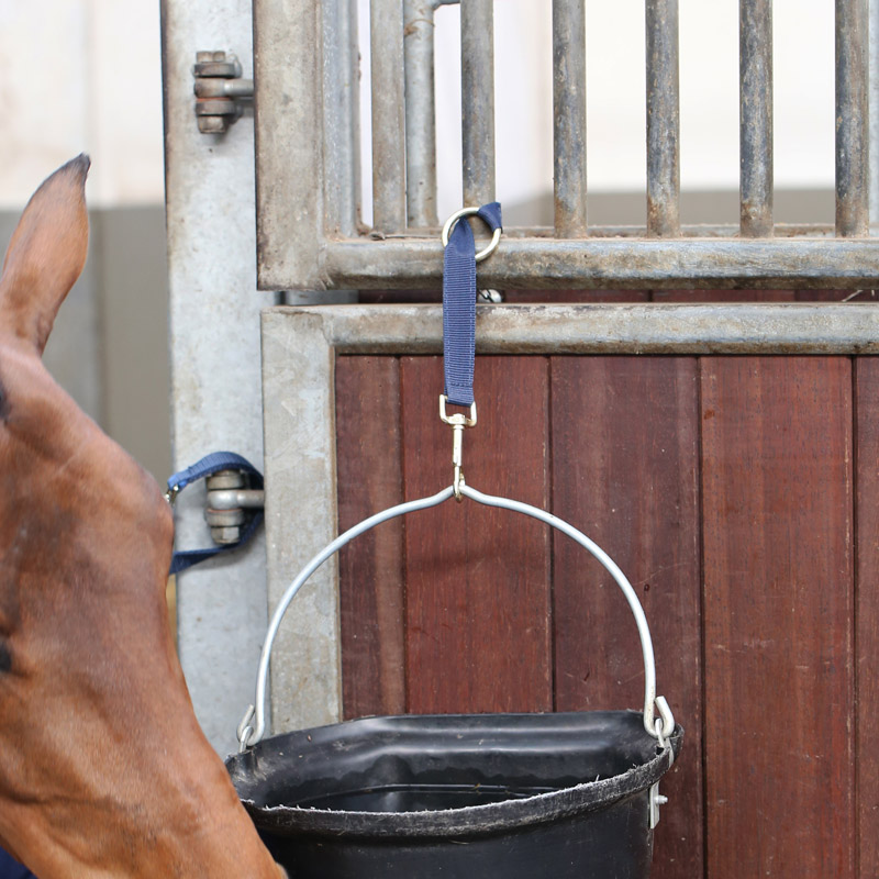 Kentucky-Horsewear-Nylon-Hook-And-Ring-Strap-Navy-1