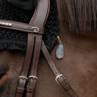 Lucky-Charm-Stone
