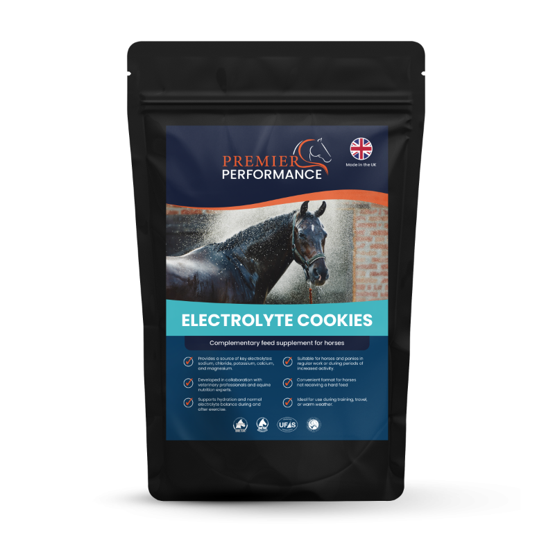 Premier Performance Electrolyte Cookies