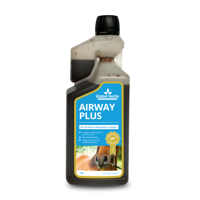 Global Herbs Airways Plus