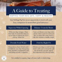 DBGPIGE7TreatingGuide