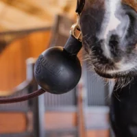 Kentucky-Horsewear-Rubber-Ball-Wall-Protector-Black